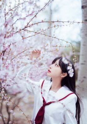 老司机精品看视频在线观看_超清在线播放观看